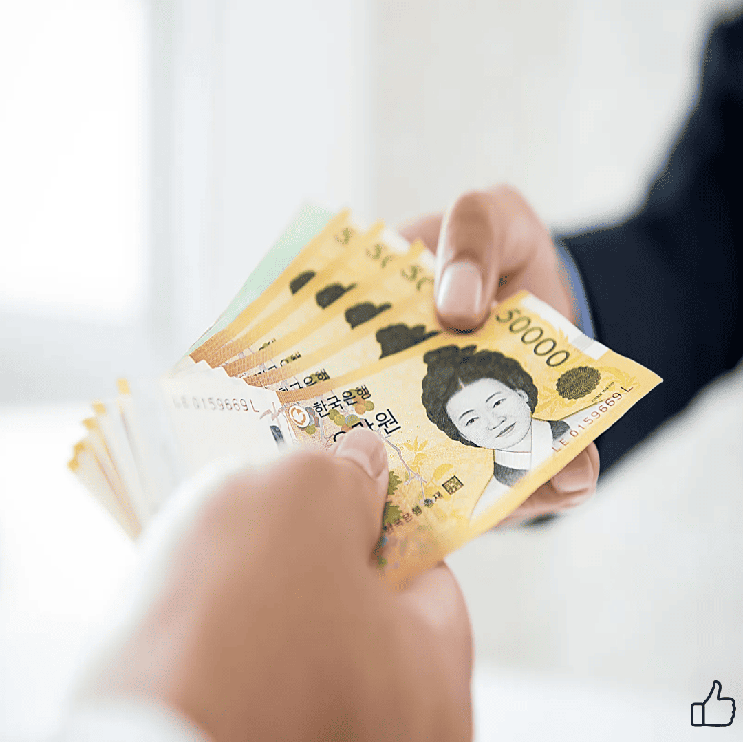 데이터 피드백 루프 구축